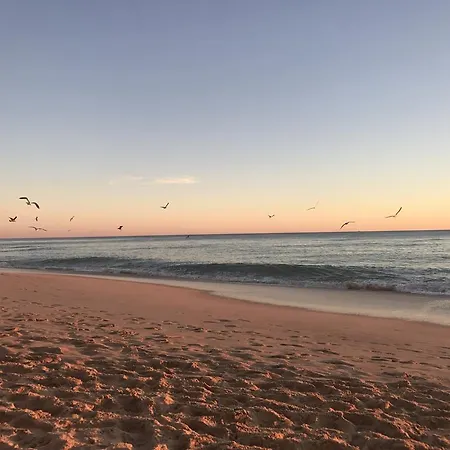 Calcada * Albufeira