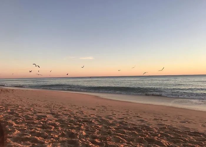 Calcada * 阿尔布费拉